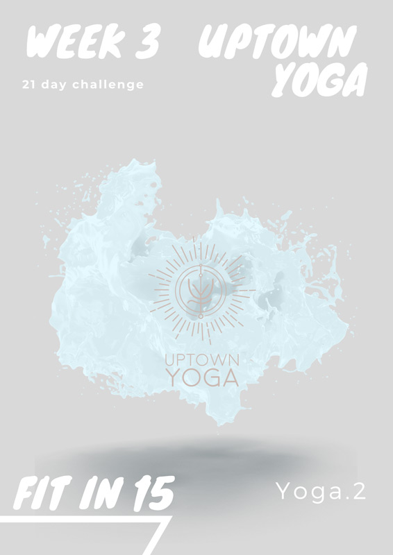 Yoga Fitin15.io